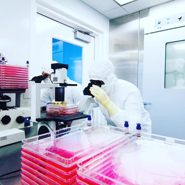 Slider image (3) Bioscience Institute in Lugano Switzerland